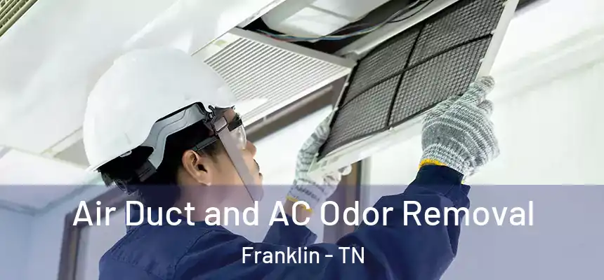 Air Duct and AC Odor Removal Franklin - TN