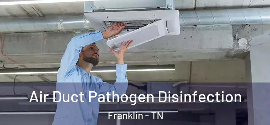  Air Duct Pathogen Disinfection Franklin - TN