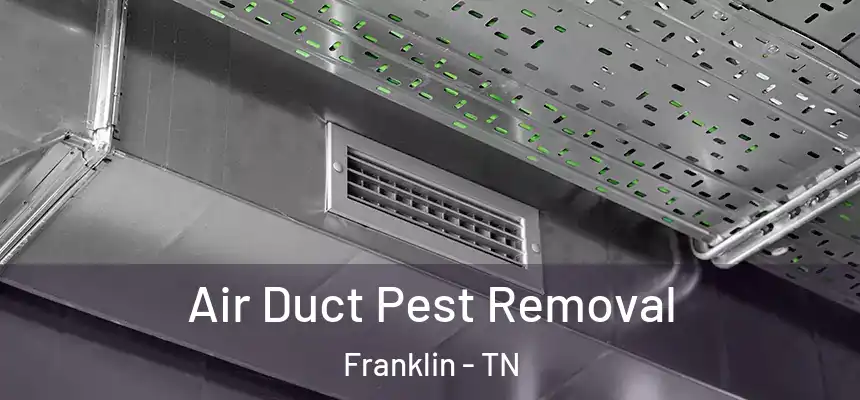 Air Duct Pest Removal Franklin - TN