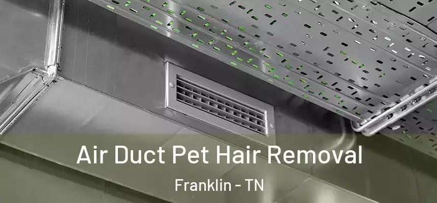 Air Duct Pet Hair Removal Franklin - TN