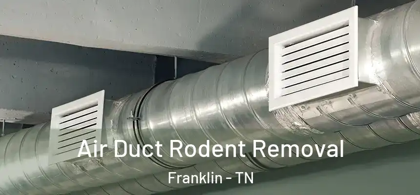  Air Duct Rodent Removal Franklin - TN
