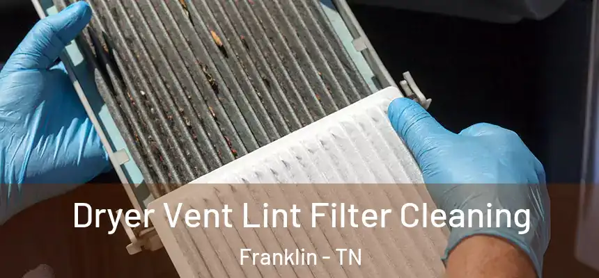 Dryer Vent Lint Filter Cleaning Franklin - TN