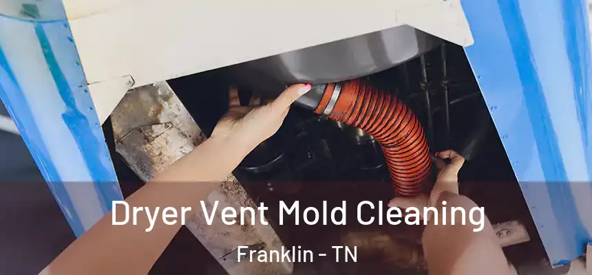 Dryer Vent Mold Cleaning Franklin - TN