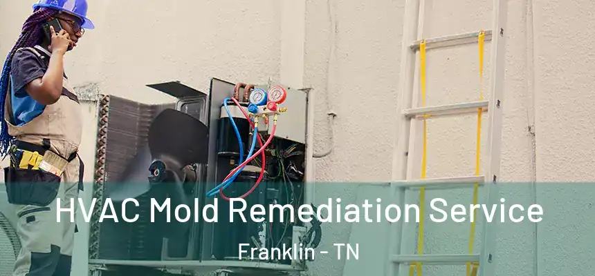 HVAC Mold Remediation Service Franklin - TN