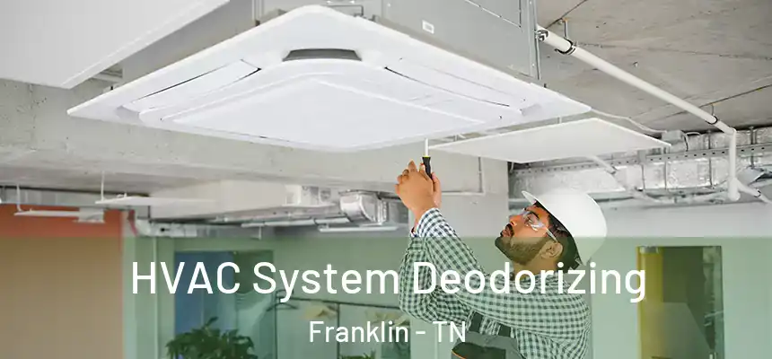 HVAC System Deodorizing Franklin - TN