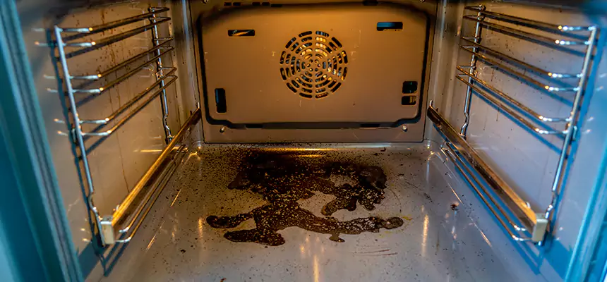 Our Dryer Vent Mold Cleaning Services in Franklin, TN