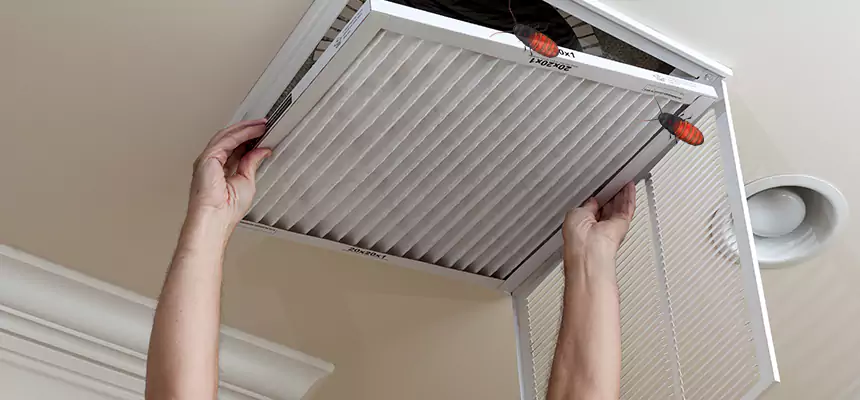 Our Insect Removal from Air Ducts Services in Franklin, TN