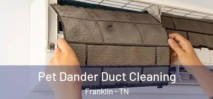 Pet Dander Duct Cleaning Franklin - TN