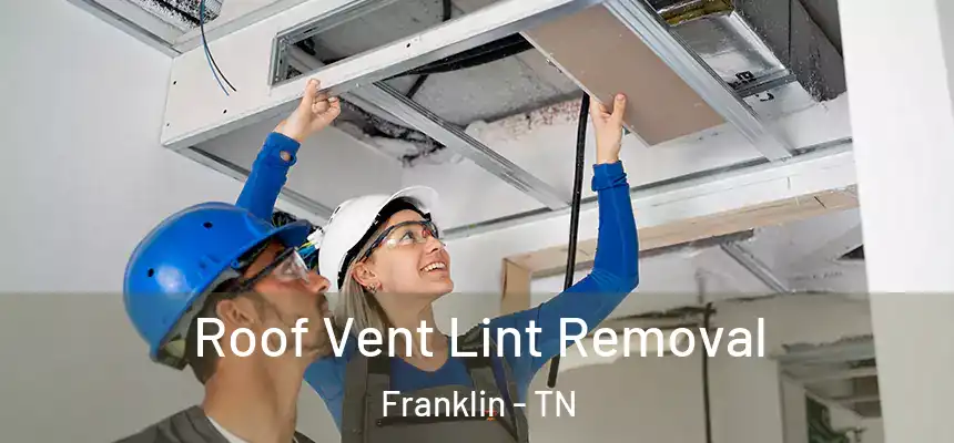 Roof Vent Lint Removal Franklin - TN