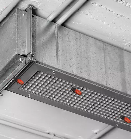 About Air Duct Cockroach Removal in Franklin, TN
