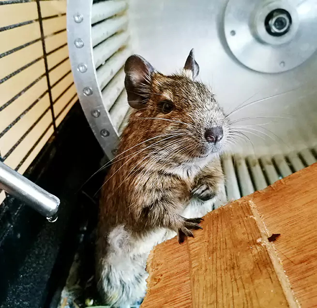 Why Homeowners & Businesses Trust Us Franklin, TN