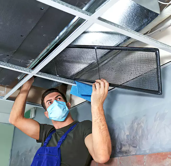 Why Homeowners Businesses Trust Us in Franklin, TN